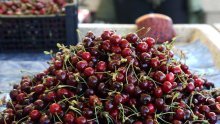 Cijene španjolskih trešanja šokirale Hrvate: 'Ludo vrijeme, nema veze s realnošću'