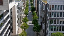 Urbana stabla važnija su za hlađenje gradova nego što se dosad mislilo