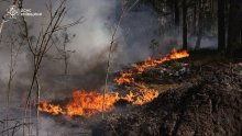 VIDEO Veliki požar hara zonom Černobila: Vatrogasci vode utrku s vremenom