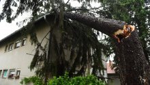 Nevrijeme napravilo kaos u Karlovcu: Stabla padala po kućama i autima, stradali i stupovi