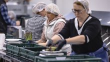 Industrijska proizvodnja u eurozoni neznatno porasla: Evo kako stoji Hrvatska