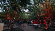 The Garden Taproom ponovno otvorio omiljenu nam zelenu oazu