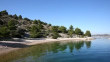 IRB istražuje utjecaj na Jadran: Pelud s kopna mijenja more