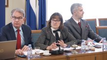 Odbor: Hrvatska nacionalna manjina u europskim državama nema prava koja treba