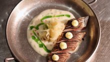 Boogie moonlight sessions zatvara prvo izdanje uz new balkan cuisine