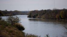 Ova vrsta prkosi pravilima: Preživjela je 100 tisuća godina bez ključne komponente