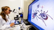 U našem susjedstvu otkriven novi virus: Pronađeni tragovi infekcije kod ljudi