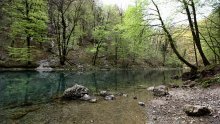 Polovica hrvatskih građana ne zna da su šume rješenje za klimatske promjene