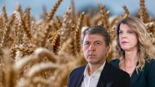 Bruxelles želi bilje otporno na poplave i suše: Dolazi li GMO potiho na naše stolove?