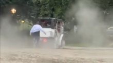 Konj se oteo i pojurio parkom: Mladi turist ispao iz kočije i poginuo