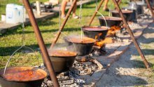 Dunav fest vraća Vukovar na rijeku: tri dana bogatog programa, vrhunac Fišijada