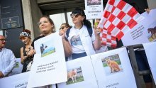 Veterinari traže poništenje natječaja; Vlajčić: Bit će ukinut samo ako je kompromitiran