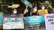 Australija zadovoljna zbog nacrta odluke UNESCO-a o Velikom koraljnom grebenu
