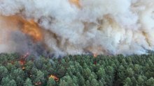 Ogromni požar guta šumu nedaleko od Pariza: Prvi put dignuti kanaderi, vatra stigla do kuća