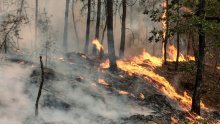 Dvije osobe uhićene zbog podmećivanja velikog požara kod Pariza, među njima i 18-godišnjak