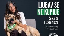 Kći Gorana Višnjića na meti kritika: Vratila u azil kujicu Lou koja je preživjela horor na Učki
