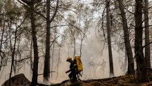 Veliki požar bukti na francuskoj Rivijeri: Vatra prijeti kućama, evakuirani i zaseoci