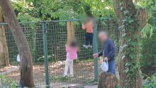 Pazite što ova obitelj radi u Zoološkom vrtu: 'Pravila su tu da se poštuju'