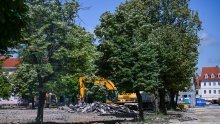 Počelo rušenje drvoreda lipa u centru Karlovca: Sačuvat će jedno stablo od njih 40