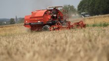 Podravka Agri završila žetvu ječma s rekordnim prinosima
