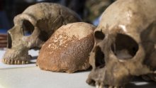Neandertalci nisu bili jedini: U DNK-u modernih ljudi pronađeni tragovi dvaju nepoznatih predaka