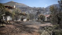 Dugo sušno ljeto: Rekordna suša i požari mogli bi gurnuti cijene hrane u nebo, posebno jedne namirnice