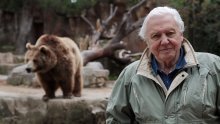 Od zaleđenih žaba do surove Amazone: BBC Earth u kolovozu donosi dokumentarce koji će vas prikovati uz ekrane