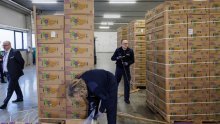 Među bananama pronašli kokain u vrijednosti 200 milijuna funti