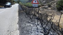 Požar kod Škrljeva pod nadzorom, vatrogasci ostaju na terenu do jutra