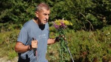 Češki premijer brao cvijeće u zaštićenom području: 'Možda sam prekršio zakon, platit ću kaznu'