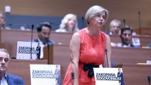 Benčić: 'Tražimo da se u sanaciju opasnog otpada ide odmah!'