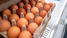 Za sve su kriva jaja: Više od 300 ljudi u Belgiji zarazilo se salmonelom