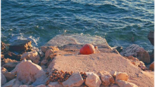 Bizarne scene na obali: Mještani ogorčeni, pogledajte čime je netko zagradio 'privatnu' plažu