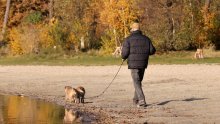 S koliko novca ste među 10 posto najbogatijih umirovljenika u Njemačkoj? Iznos bi vas mogao iznenaditi