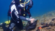 Ruđerovci s roniocima pratili stanje morskih šuma i makroalgi