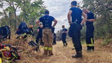 Deliblatska peščara nakon požara: Uništene šume, stradale pčele, oporavak najmanje 20 godina