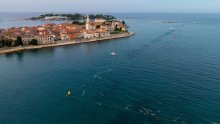 Porečki delfin proslavio 25. rođendan: zaplivalo više od 1700 sudionika iz 30 zemalja