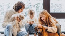 Veterinar upozorava na pogrešku koju mnogi vlasnici naprave na kraju života ljubimca