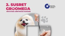 Groomeri iz cijele Hrvatske stižu u Zagreb – Hrvatska prvi put dobiva i državne prvake