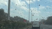 VIDEO Oluja stigla u Hrvatsku: U okolici Zagreba vjetar otpuhao krov doma za starije
