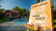 Vinskim igrama u Virovitici kreće festival zbog kojeg se isplati potegnuti do Slavonije i Podravine