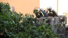 Tragedija u Međimurju: Grana pala na dvojicu muškaraca, jedan poginuo