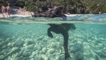 Na ovom malom grčkom otoku turiste dočekuje prizor koji gotovo nitko ne očekuje
