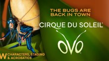 Šarena i energična predstava za sve generacije: OVO - Cirque du Soleil