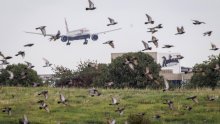 Teške rasprave u Britaniji: Proširiti Heathrow ili ispuniti klimatske ciljeve