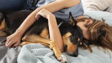 Spavate s ljubimcem u krevetu? Istraživanje otkrilo detalj koji vlasnici često ne primjećuju