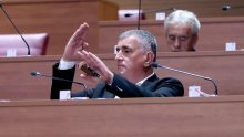 Bulj napao Možemo: 'Hranite li dobro, kolegice Benčić, Pripuza?'