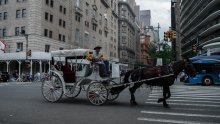New York planira ukinuti vožnje kočijama u Central Parku