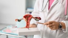 Jajnici nakon menopauze nisu neaktivni, a njihovo starenje nosi skrivene rizike