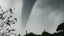 FOTO Pogledajte kakva je pijavica snimljena u Istri: 'Mrcina je sve veća'